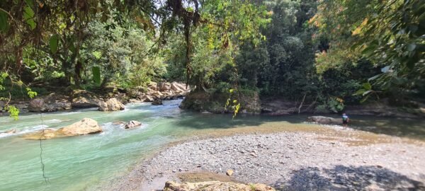 Pacific biodiverse daytrip - Bahía Málaga - Image 6