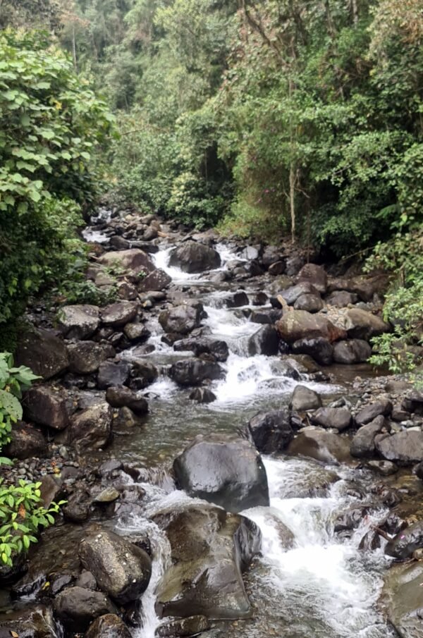 Easy hike and funny river daytrip - Pance