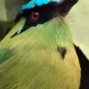 Adventure of February 2025: Pance Birdwatch daytrip - Image 8