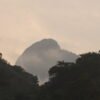 Adventure of February 2025: Pance Birdwatch daytrip - Image 11