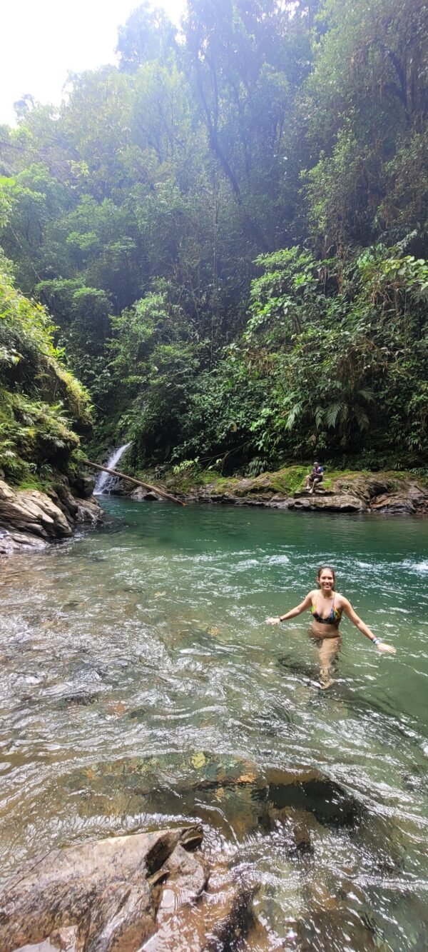 Adventure March 2025: Tropical Rain Forest daytrip