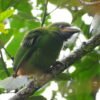 Adventure of February 2025: Pance Birdwatch daytrip - Image 4